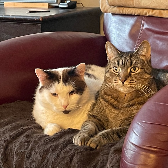 Meet your Posher, James - Picture 8 of 16